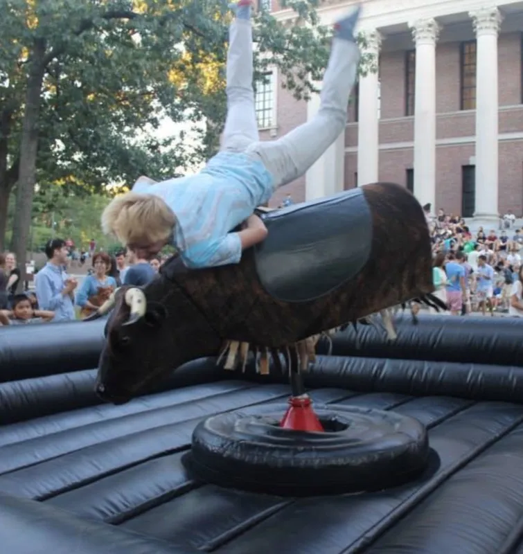 Harvard Yard